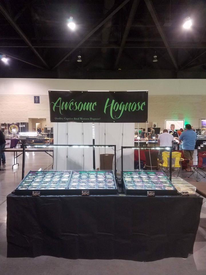 PVC DISPLAY CASES D.W.Geckos & Terraria Cont