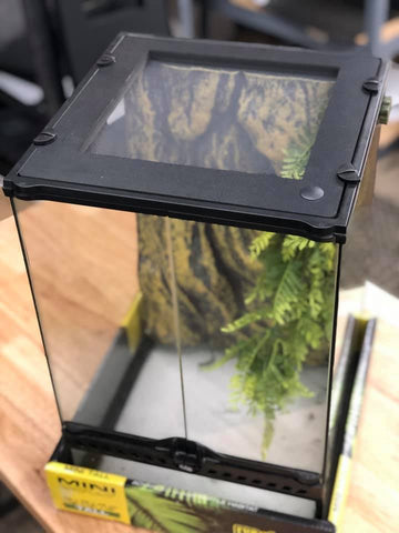 12"x12" Exo-Terra "SCREEN" Version